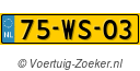 75-WS-03