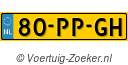 80PPGH
