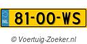 8100WS