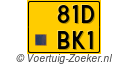 81-DBK-1