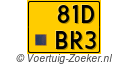 81-DBR-3