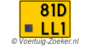 81-DLL-1