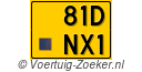 81DNX1