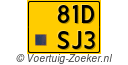 81-DSJ-3