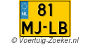 81-MJ-LB