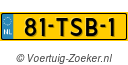 81TSB1