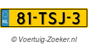 81TSJ3