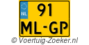 91MLGP