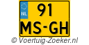 91MSGH