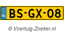 BSGX08