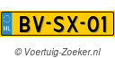 BVSX01