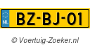 BZBJ01