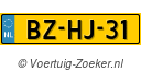 BZHJ31