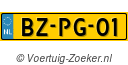BZPG01