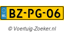 BZPG06