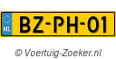BZPH01