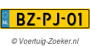 BZ-PJ-01