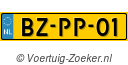 BZPP01