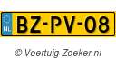 BZPV08
