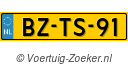 BZTS91