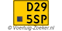 D295SP