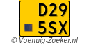 D295SX
