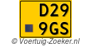 D299GS