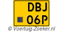 DBJ-06-P