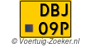 DBJ-09-P