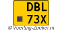 DBL73X