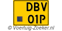 DBV01P