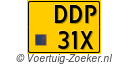 DDP31X