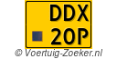 DDX20P