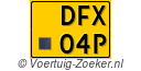 DFX-04-P