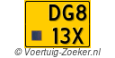 DG813X