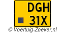 DGH31X