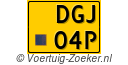 DGJ-04-P