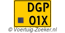 DGP-01-X