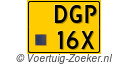 DGP16X