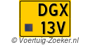 DGX-13-V