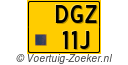 DGZ11J
