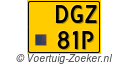 DGZ-81-P