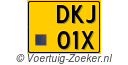 DKJ-01-X