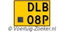 DLB-08-P