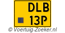 DLB-13-P