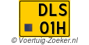 DLS-01-H