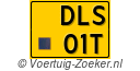 DLS-01-T