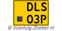 DLS-03-P