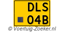 DLS-04-B