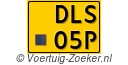 DLS-05-P